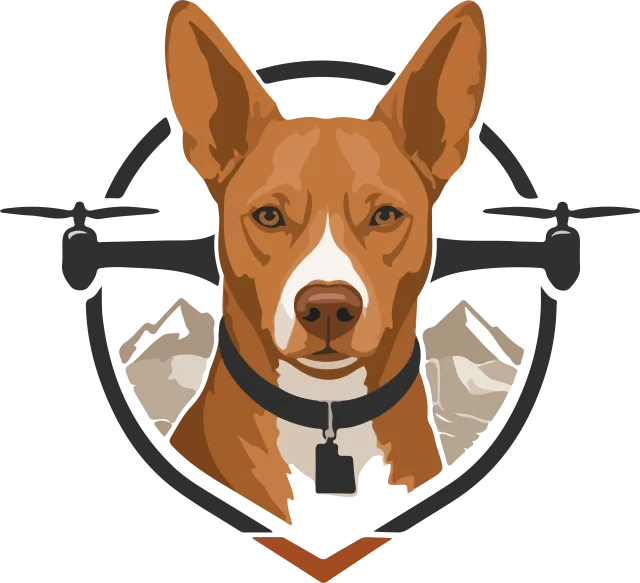 Pluto, the Bird Dog